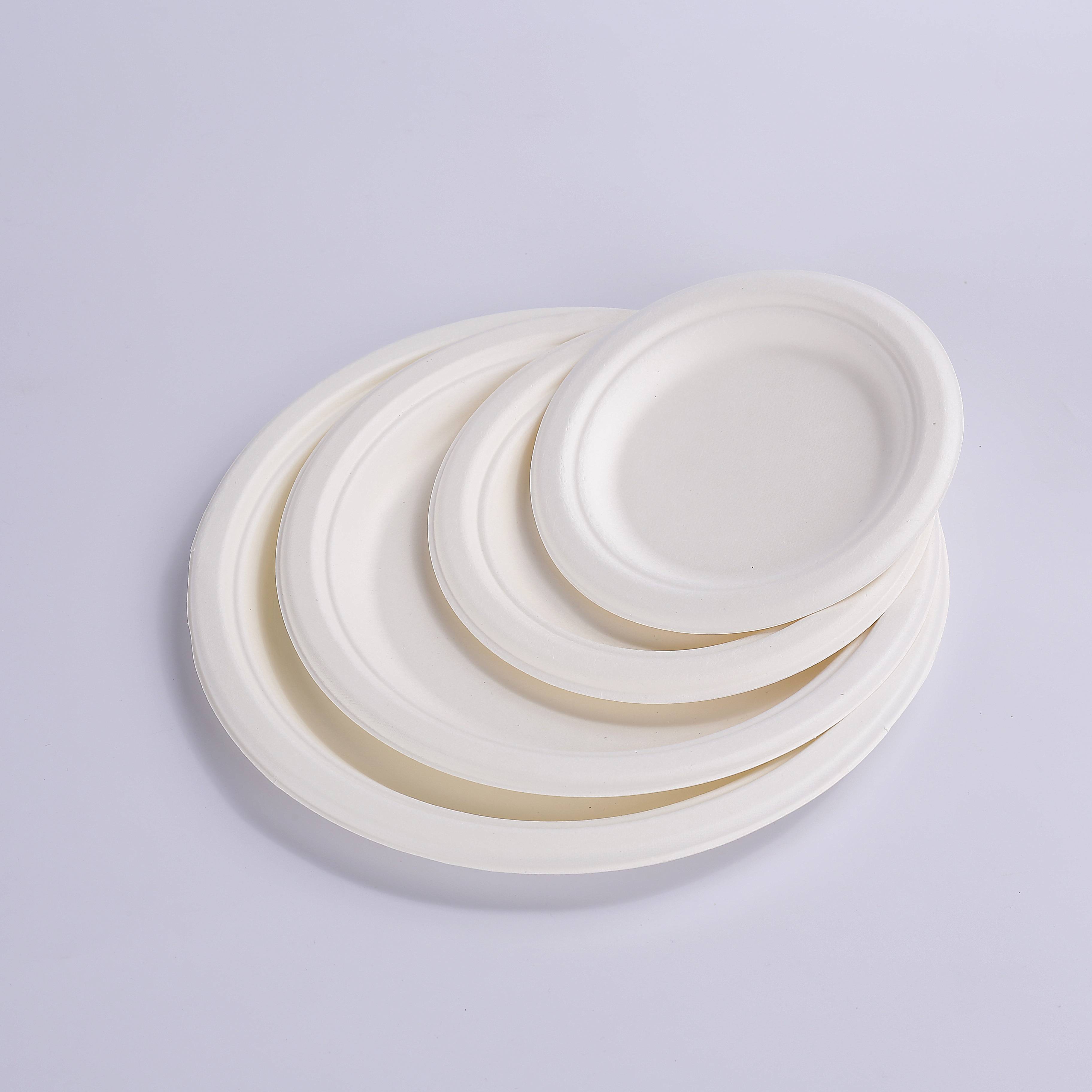 Bagasse Plate